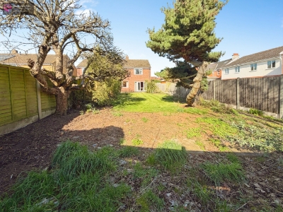 Picture 15